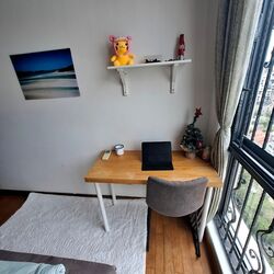 Twin Heights (D12), Apartment #584264251